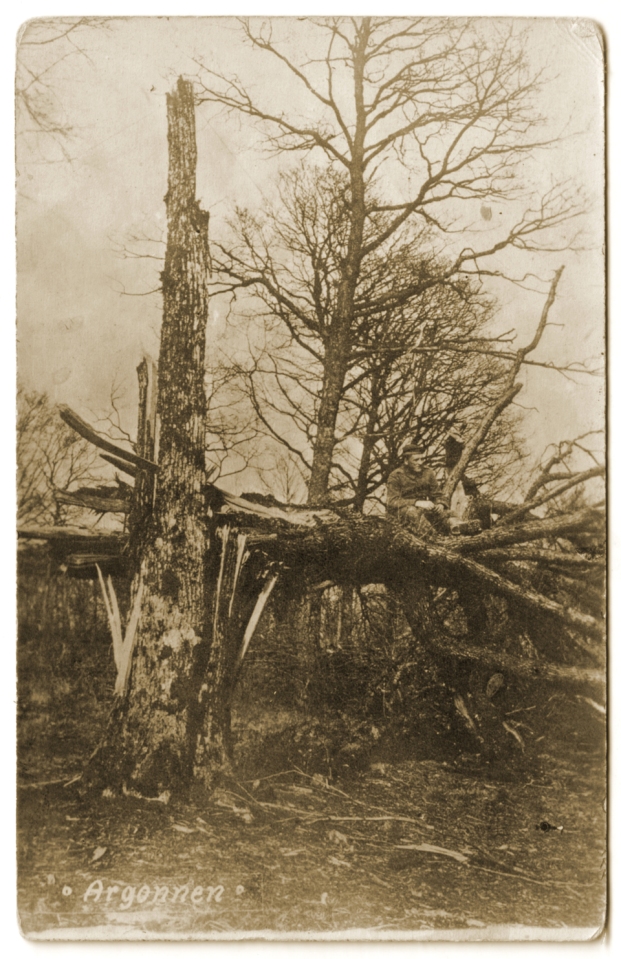 Soldat allemand sur un arbre brisé par un obus