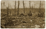 Souvenir des combats en Forêt d'Argonne en 1915
